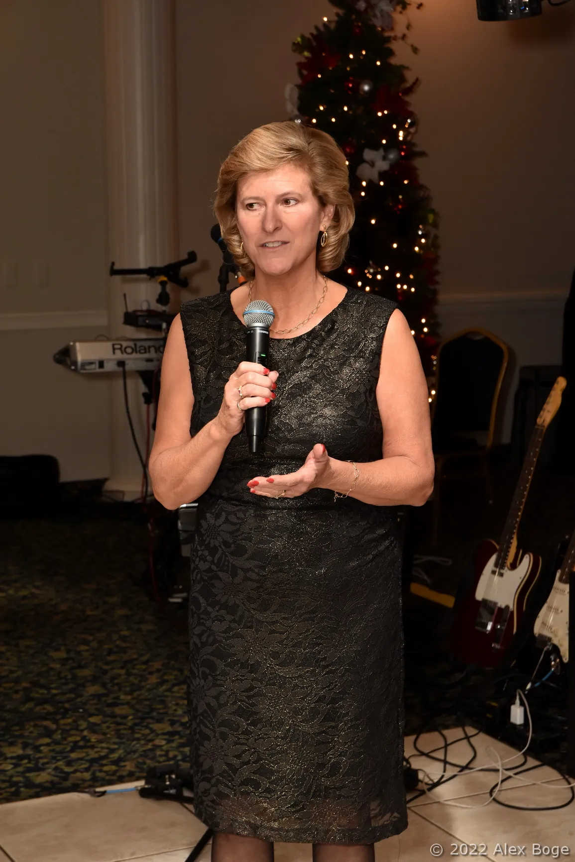 Christmas in Clinton Township — event photo 026