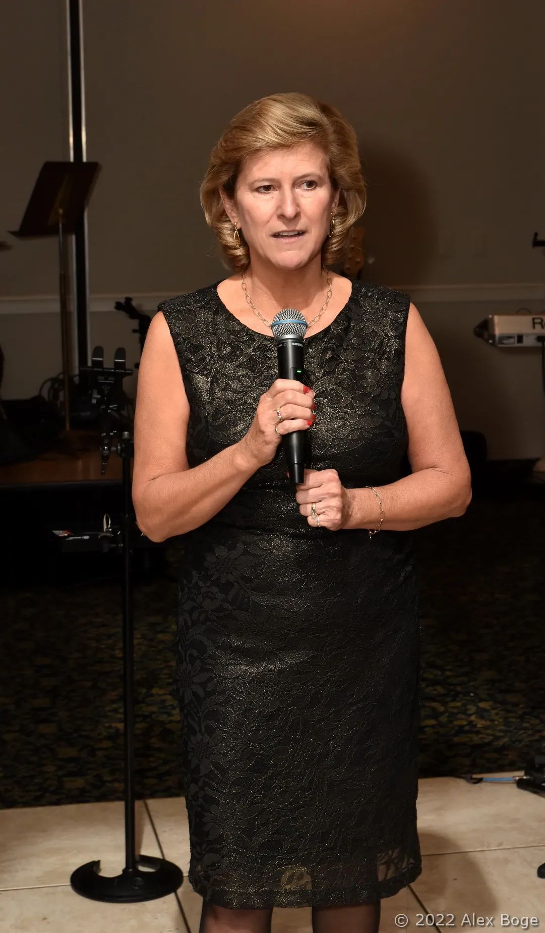 Christmas in Clinton Township — event photo 117